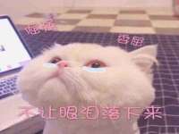 南通腾泰金属材料有限公司