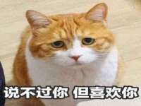南通腾泰金属材料有限公司