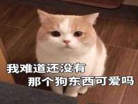 南通腾泰金属材料有限公司
