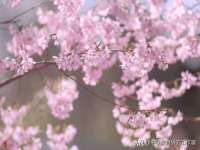 南通腾泰金属材料有限公司