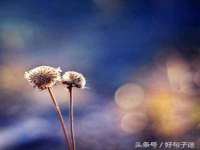南通腾泰金属材料有限公司