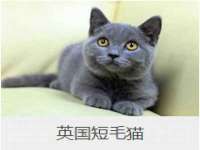 南通腾泰金属材料有限公司