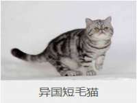 南通腾泰金属材料有限公司