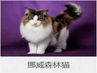南通腾泰金属材料有限公司