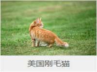 南通腾泰金属材料有限公司