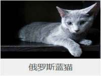 南通腾泰金属材料有限公司