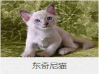南通腾泰金属材料有限公司