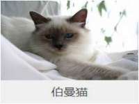 南通腾泰金属材料有限公司