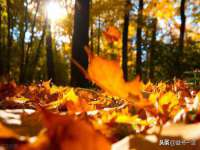 南通腾泰金属材料有限公司