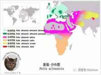 南通腾泰金属材料有限公司