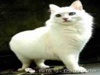 南通腾泰金属材料有限公司