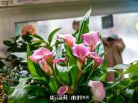 南通腾泰金属材料有限公司