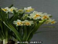 南通腾泰金属材料有限公司