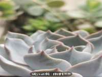 南通腾泰金属材料有限公司