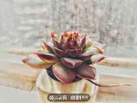 南通腾泰金属材料有限公司