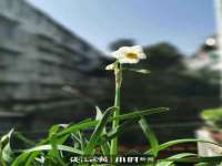 南通腾泰金属材料有限公司