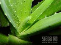 南通腾泰金属材料有限公司