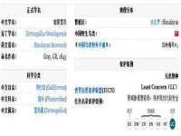 南通腾泰金属材料有限公司