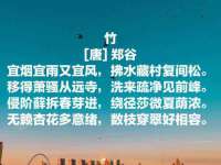 南通腾泰金属材料有限公司