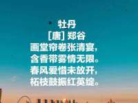 南通腾泰金属材料有限公司