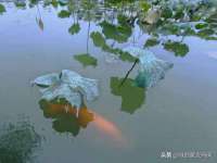 南通腾泰金属材料有限公司