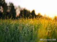 南通腾泰金属材料有限公司