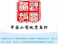 南通腾泰金属材料有限公司