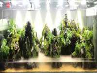 南通腾泰金属材料有限公司