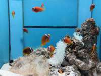 南通腾泰金属材料有限公司