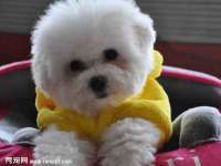 南通腾泰金属材料有限公司