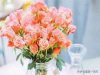 南通腾泰金属材料有限公司