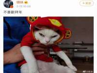 南通腾泰金属材料有限公司
